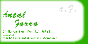 antal forro business card